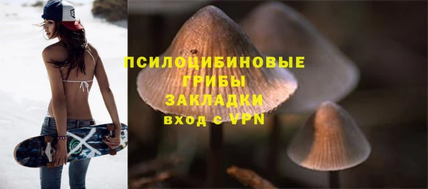 соль ск Абдулино