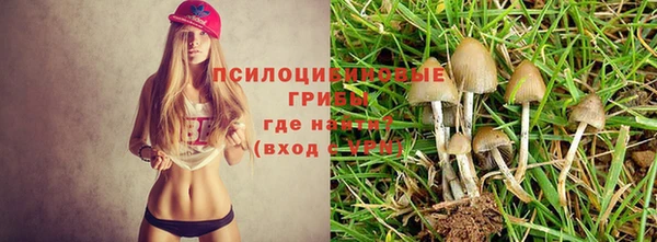 соль ск Абдулино