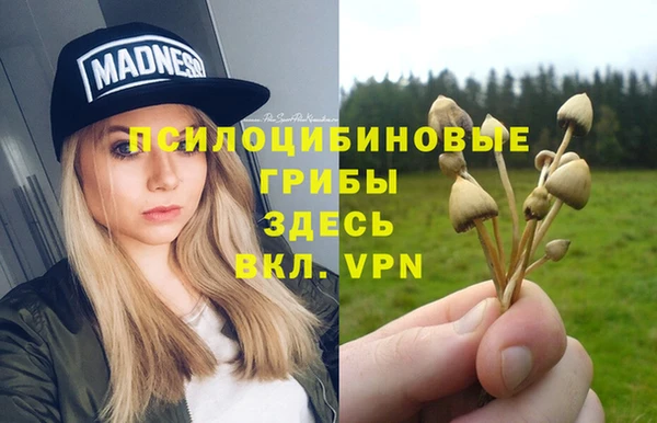 соль ск Абдулино