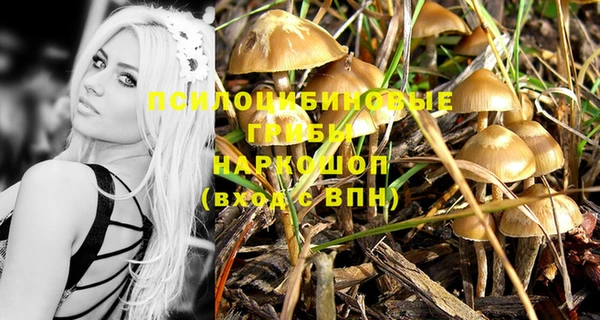 гашиш Абаза